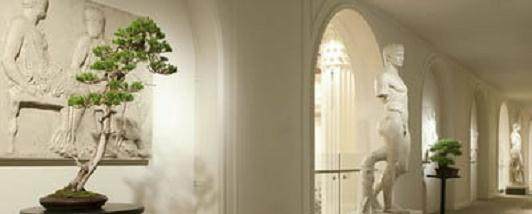 波特兰艺术博物馆举行首届盆景展