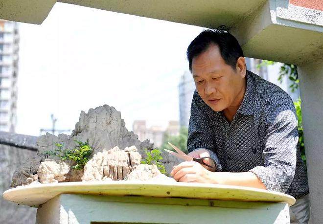 盆景匠人陈荣国 38年的事业 一辈子的热爱