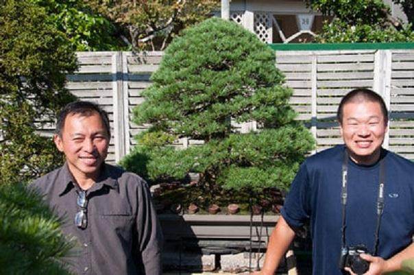 参观北村先生的盆景收藏品