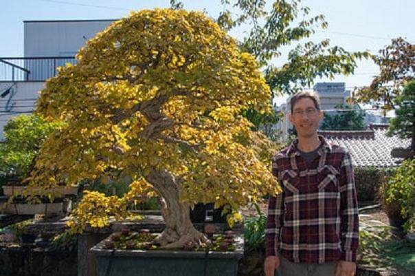 参观北村先生的盆景收藏品