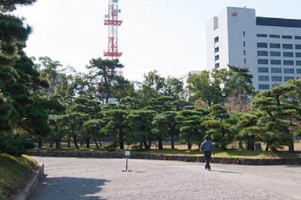 2011年亚太盆景展在四国高川县香川举行