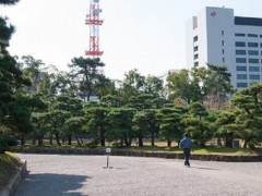 2011年亚太盆景展在四国高川县香川举行