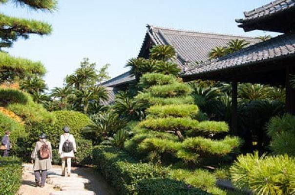 2011年亚太盆景展在四国高川县香川举行