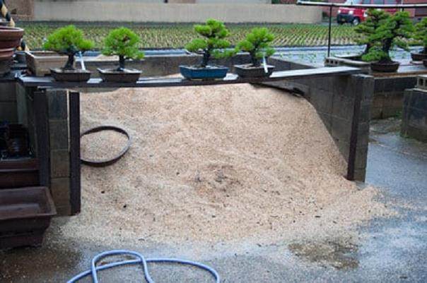 访问日本金桥盆景区