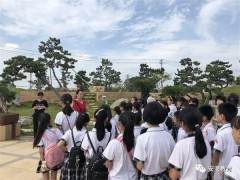 梧山校区小记者走进鸿江盆景文化园