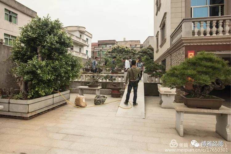 2018晋江盆景协会组织的泉港盆景参观团