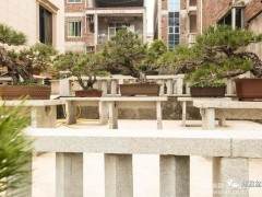 2018晋江盆景协会组织的泉港盆景参观团