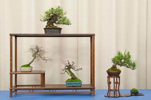 小品盆景在BABA第32届年度展览上