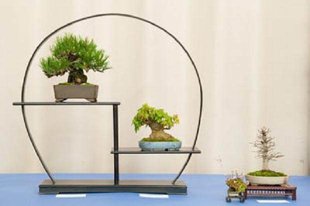 小品盆景在BABA第32届年度展览上