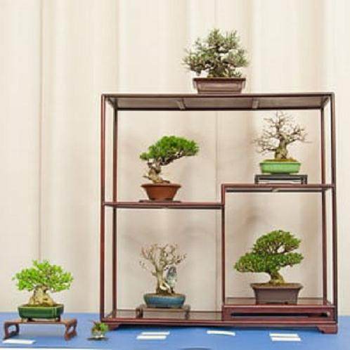 小品盆景在BABA第32届年度展览上