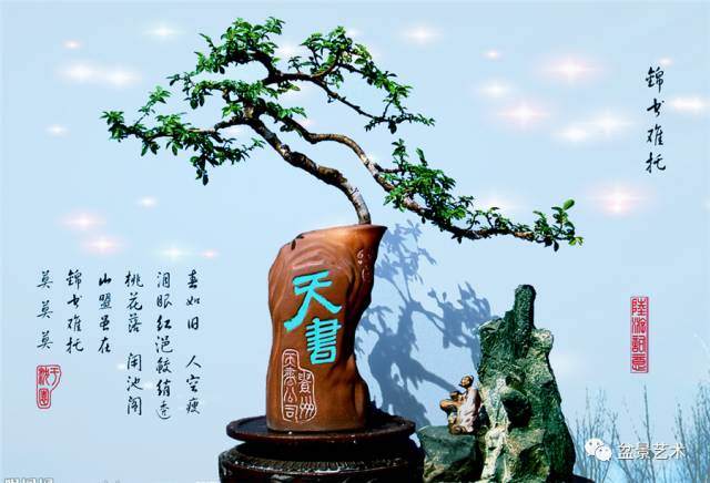 盆景面临着大众性的文化环境