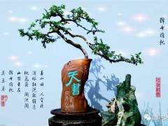 盆景面临着大众性的文化环境