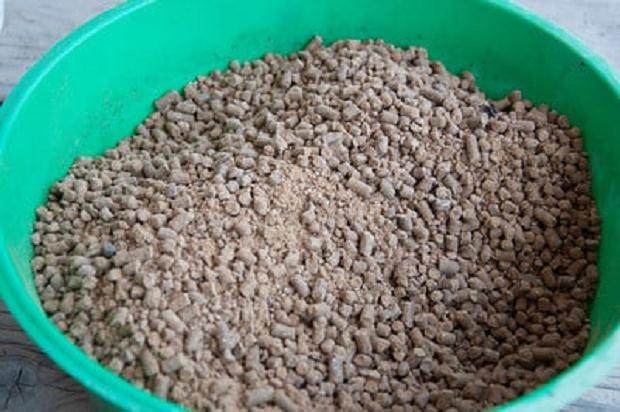 你有没有尝试使用蠕虫作为盆景肥料