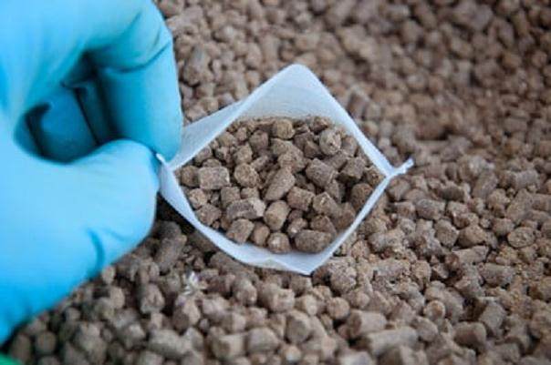 你有没有尝试使用蠕虫作为盆景肥料