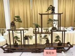 上海高级盆景艺术师盆景操作表演