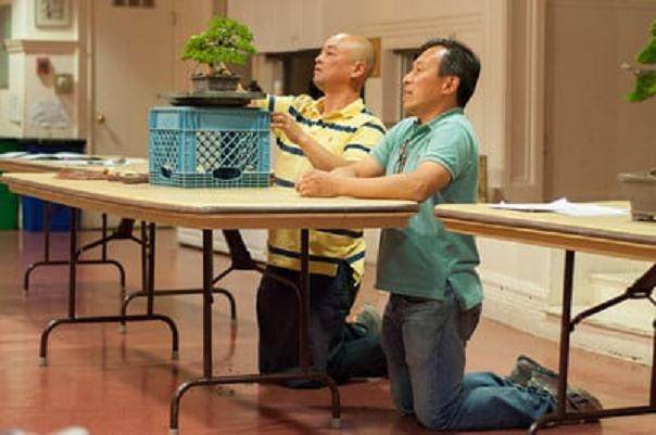 近藤在湾岛盆景会议上的评论