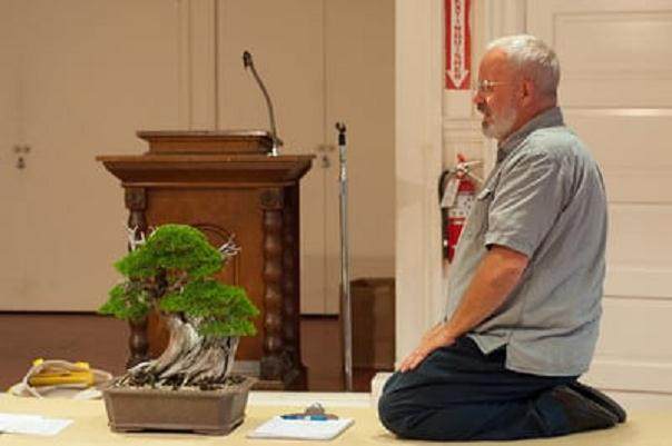 近藤在湾岛盆景会议上的评论