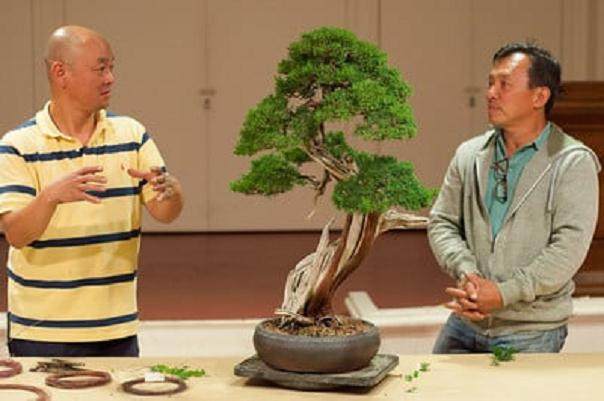 近藤在湾岛盆景会议上的评论