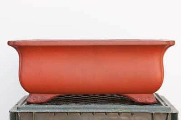 新定做的盆景盆子 -- Keizan