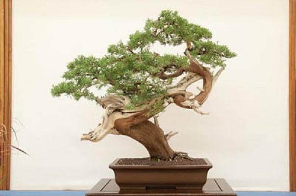 佛教堂举行了第42届年度展览