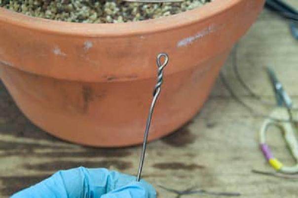 图解 如何用线将盆景连接到盆子中