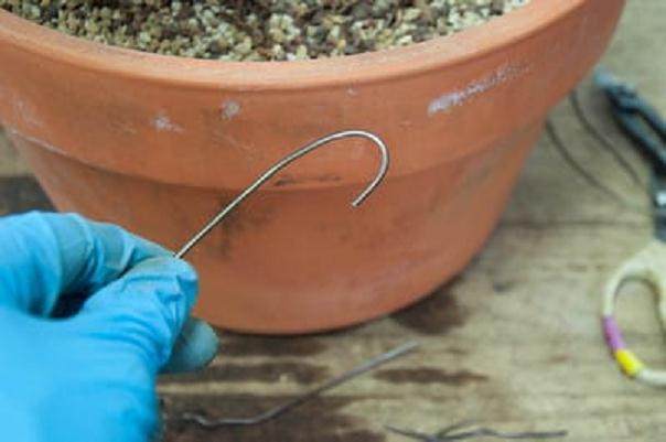 图解 如何用线将盆景连接到盆子中