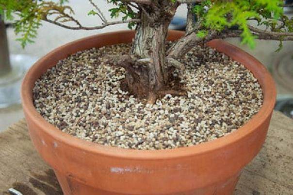 图解 如何用线将盆景连接到盆子中