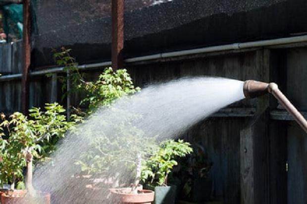 浇水过度或不足会对盆景造成压力