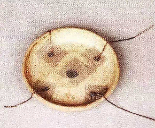 图解 半附石老桩盆景如何制作的方法