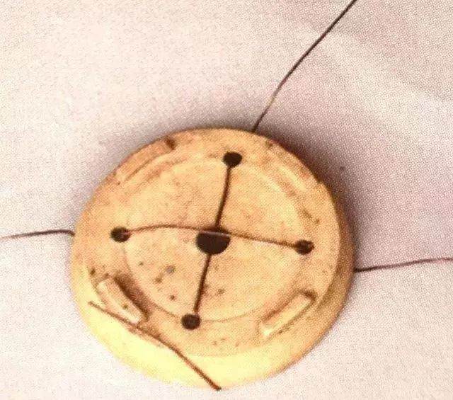 图解 半附石老桩盆景如何制作的方法