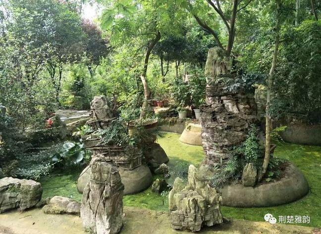 花果山盆景园艺场位于应城市城北办事处赵畈村