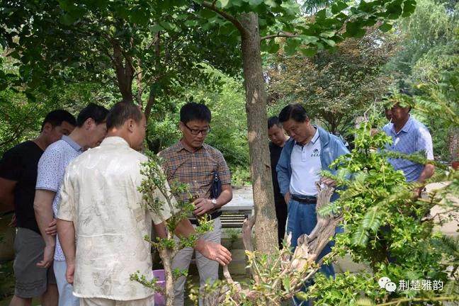 花果山盆景园艺场位于应城市城北办事处赵畈村