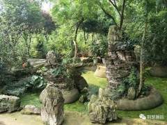 花果山盆景园艺场位于应城市城北办事处赵畈村