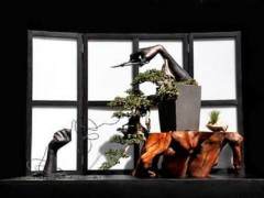 2014年国际盆景与文化双年展开放注册