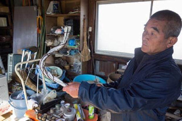 如何创建盆景主干？ - 绘制未来增长图