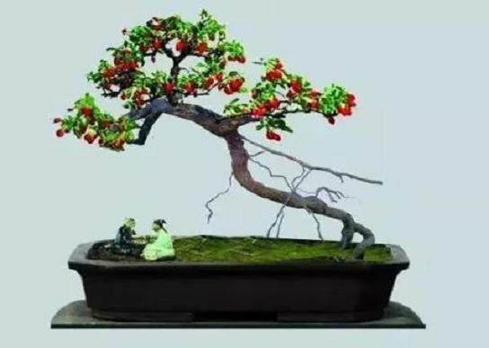 枸杞子盆景的栽培技术