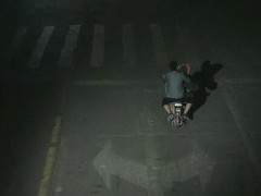 男子酒后变身偷花大盗 专偷名贵盆景