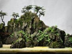 2018川派盆景公益大讲堂