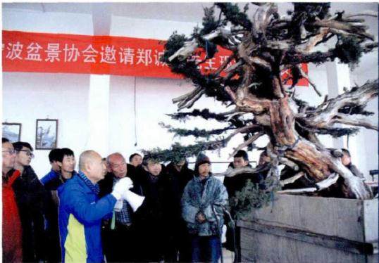 图解 郑诚恭真柏盆景怎么制作的25个过程