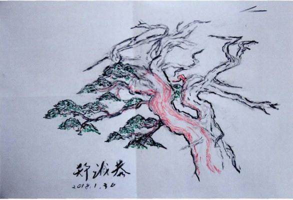 图解 郑诚恭真柏盆景怎么制作的25个过程