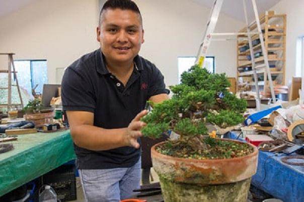 在鹿草甸制作盆景