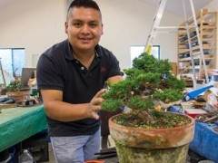 在鹿草甸制作盆景