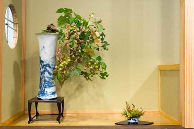 佑泉盆景在美国国家盆景展上展出