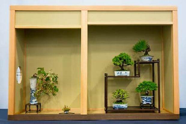 佑泉盆景在美国国家盆景展上展出