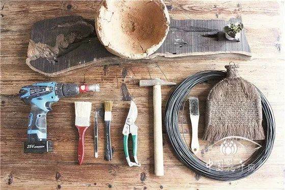 图解 制作盆景时要先清理植物 再植土入盆