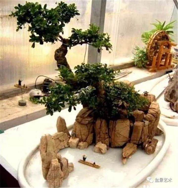 图解 制作室内假山盆景的7个步骤