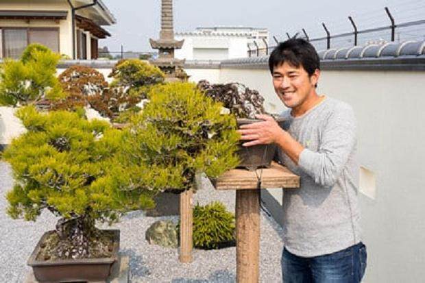 有没有想过每天在盆景上工作是什么感觉？