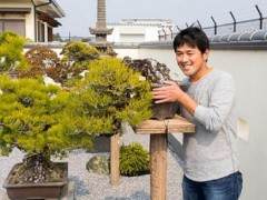 有没有想过每天在盆景上工作是什么感觉？
