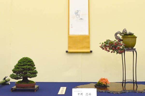 日本京都举行的大观十盆景展