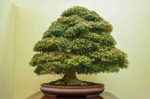 生日快乐 - 2014年生日快乐派对